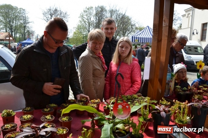 Zdjęcie w galerii na portalu naszraciborz.pl: IV Zamkowy Jarmark kwiatów, żywności ekologicznej i rękodzieła za nami wiadomości z regionu