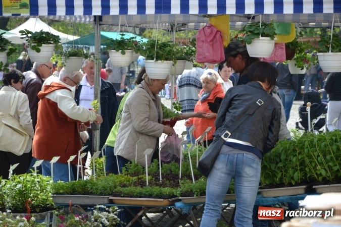 Zdjęcie w galerii na portalu naszraciborz.pl: IV Zamkowy Jarmark kwiatów, żywności ekologicznej i rękodzieła za nami wiadomości z regionu
