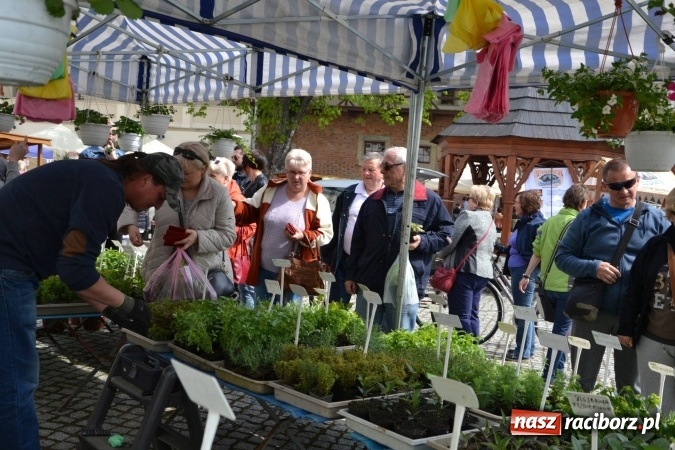Zdjęcie w galerii na portalu naszraciborz.pl: IV Zamkowy Jarmark kwiatów, żywności ekologicznej i rękodzieła za nami wiadomości z regionu