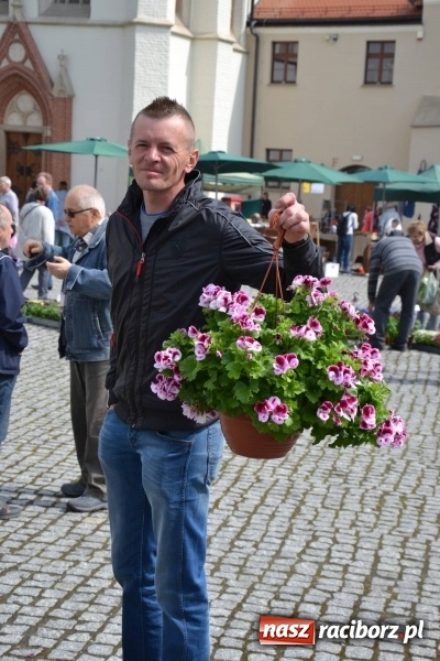 Zdjęcie w galerii na portalu naszraciborz.pl: IV Zamkowy Jarmark kwiatów, żywności ekologicznej i rękodzieła za nami wiadomości z regionu