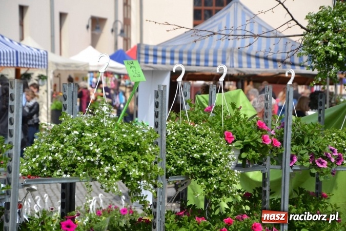 Zdjęcie w galerii na portalu naszraciborz.pl: IV Zamkowy Jarmark kwiatów, żywności ekologicznej i rękodzieła za nami wiadomości z regionu