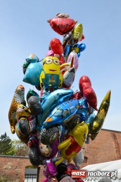 Zdjęcie w galerii na portalu naszraciborz.pl: IV Zamkowy Jarmark kwiatów, żywności ekologicznej i rękodzieła za nami wiadomości z regionu