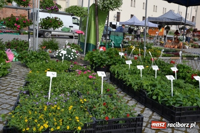 Zdjęcie w galerii na portalu naszraciborz.pl: IV Zamkowy Jarmark kwiatów, żywności ekologicznej i rękodzieła za nami wiadomości z regionu
