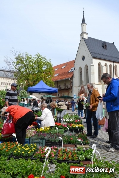 Zdjęcie w galerii na portalu naszraciborz.pl: IV Zamkowy Jarmark kwiatów, żywności ekologicznej i rękodzieła za nami wiadomości z regionu