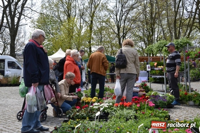 Zdjęcie w galerii na portalu naszraciborz.pl: IV Zamkowy Jarmark kwiatów, żywności ekologicznej i rękodzieła za nami wiadomości z regionu