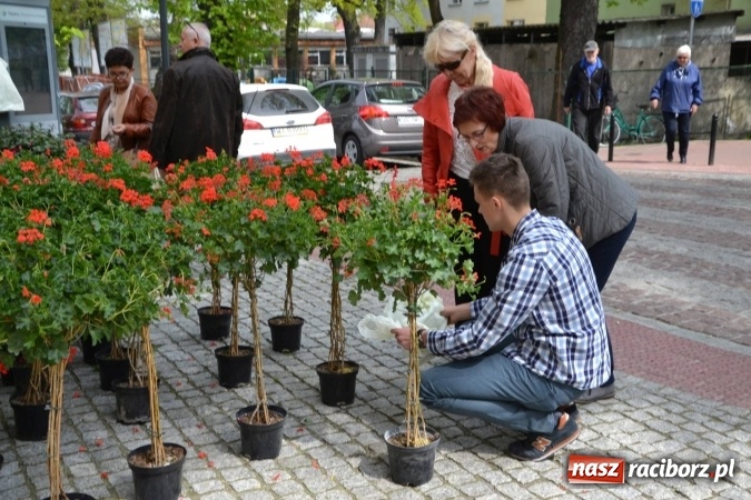 Zdjęcie w galerii na portalu naszraciborz.pl: IV Zamkowy Jarmark kwiatów, żywności ekologicznej i rękodzieła za nami wiadomości z regionu