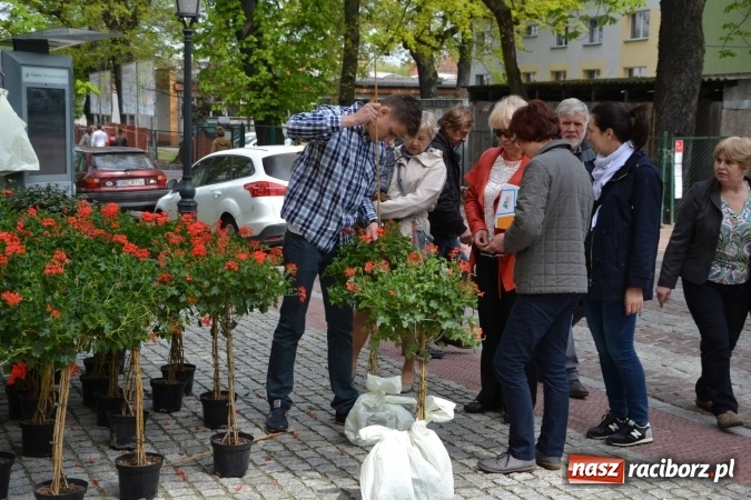 Zdjęcie w galerii na portalu naszraciborz.pl: IV Zamkowy Jarmark kwiatów, żywności ekologicznej i rękodzieła za nami wiadomości z regionu