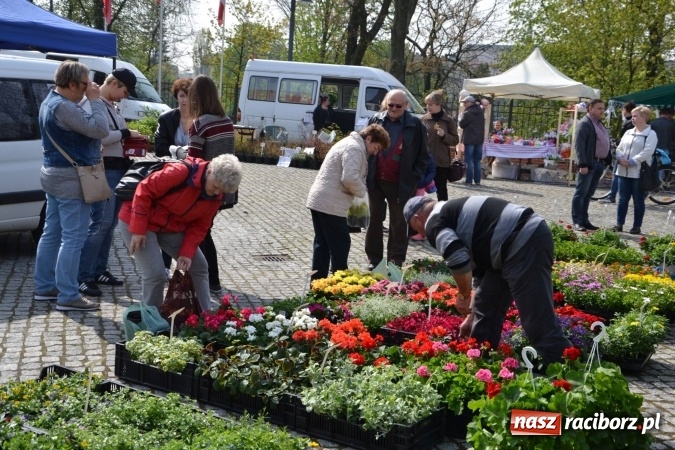 Zdjęcie w galerii na portalu naszraciborz.pl: IV Zamkowy Jarmark kwiatów, żywności ekologicznej i rękodzieła za nami wiadomości z regionu