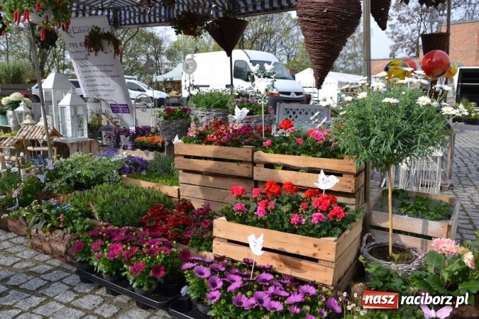 Zdjęcie w galerii na portalu naszraciborz.pl: IV Zamkowy Jarmark kwiatów, żywności ekologicznej i rękodzieła za nami wiadomości z regionu