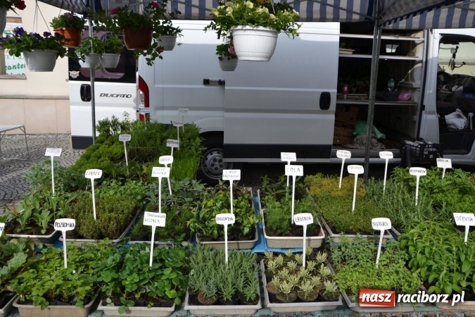 Zdjęcie w galerii na portalu naszraciborz.pl: IV Zamkowy Jarmark kwiatów, żywności ekologicznej i rękodzieła za nami wiadomości z regionu