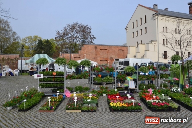 Zdjęcie w galerii na portalu naszraciborz.pl: IV Zamkowy Jarmark kwiatów, żywności ekologicznej i rękodzieła za nami wiadomości z regionu