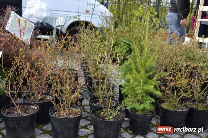 Zdjęcie w galerii na portalu naszraciborz.pl: IV Zamkowy Jarmark kwiatów, żywności ekologicznej i rękodzieła za nami wiadomości z regionu