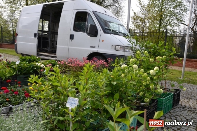 Zdjęcie w galerii na portalu naszraciborz.pl: IV Zamkowy Jarmark kwiatów, żywności ekologicznej i rękodzieła za nami wiadomości z regionu
