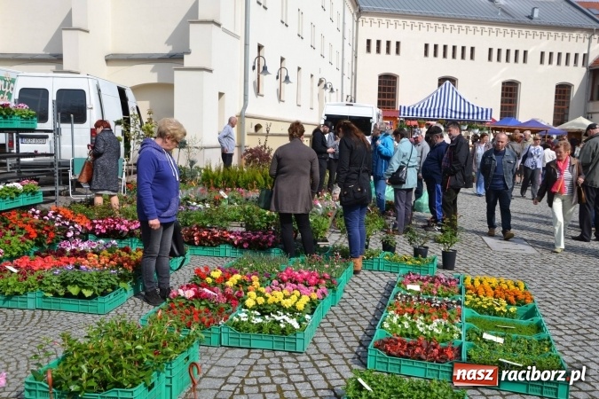 Zdjęcie w galerii na portalu naszraciborz.pl: IV Zamkowy Jarmark kwiatów, żywności ekologicznej i rękodzieła za nami wiadomości z regionu