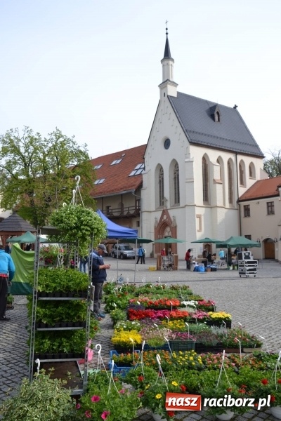 Zdjęcie w galerii na portalu naszraciborz.pl: IV Zamkowy Jarmark kwiatów, żywności ekologicznej i rękodzieła za nami wiadomości z regionu