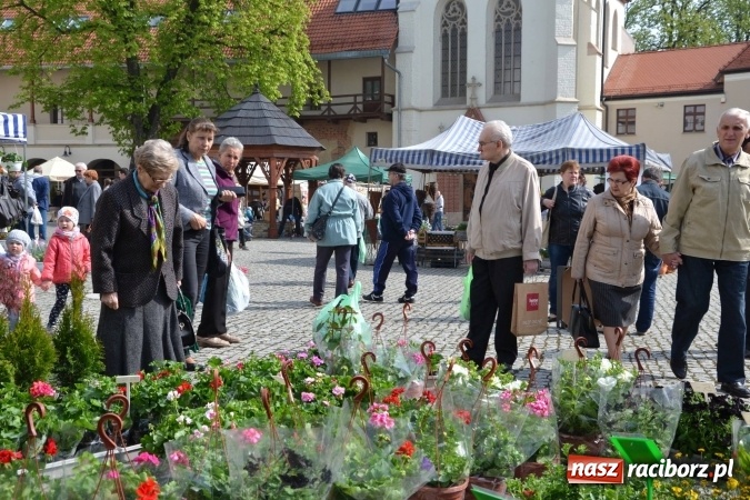Zdjęcie w galerii na portalu naszraciborz.pl: IV Zamkowy Jarmark kwiatów, żywności ekologicznej i rękodzieła za nami wiadomości z regionu