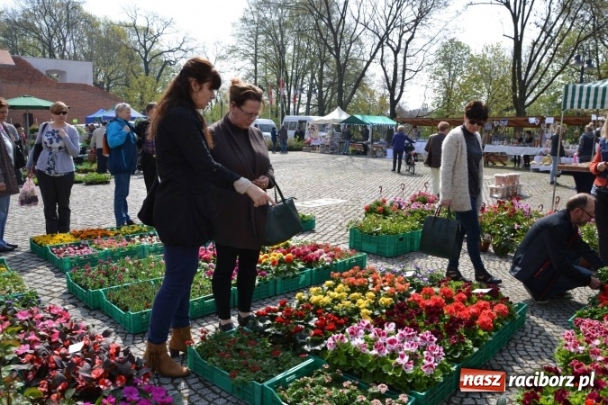 Zdjęcie w galerii na portalu naszraciborz.pl: IV Zamkowy Jarmark kwiatów, żywności ekologicznej i rękodzieła za nami wiadomości z regionu
