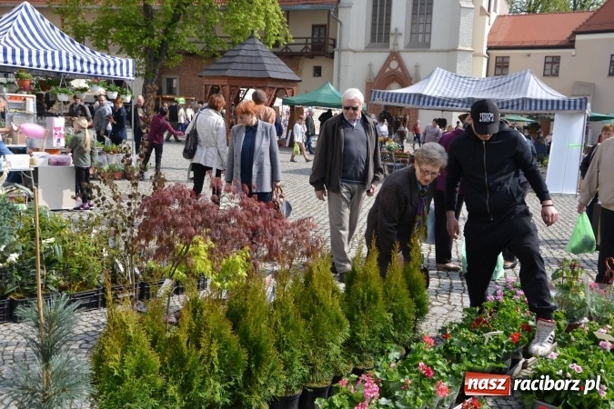 Zdjęcie w galerii na portalu naszraciborz.pl: IV Zamkowy Jarmark kwiatów, żywności ekologicznej i rękodzieła za nami wiadomości z regionu