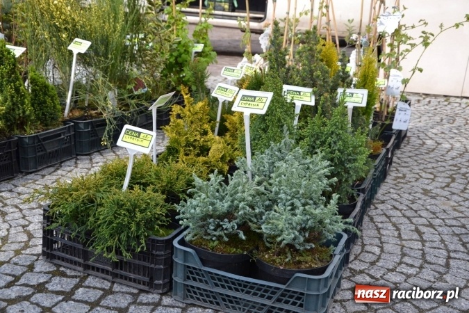 Zdjęcie w galerii na portalu naszraciborz.pl: IV Zamkowy Jarmark kwiatów, żywności ekologicznej i rękodzieła za nami wiadomości z regionu
