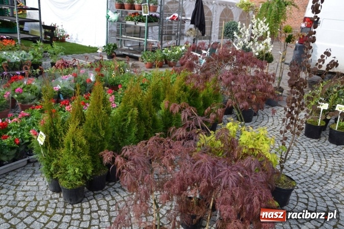 Zdjęcie w galerii na portalu naszraciborz.pl: IV Zamkowy Jarmark kwiatów, żywności ekologicznej i rękodzieła za nami wiadomości z regionu