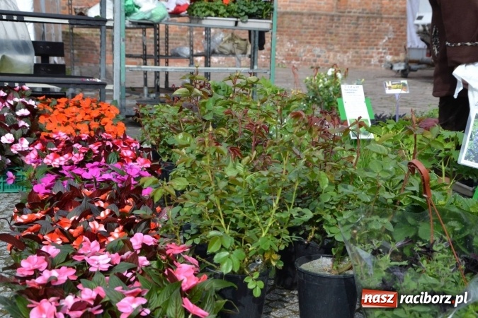 Zdjęcie w galerii na portalu naszraciborz.pl: IV Zamkowy Jarmark kwiatów, żywności ekologicznej i rękodzieła za nami wiadomości z regionu