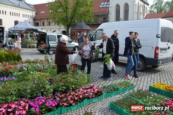 Zdjęcie w galerii na portalu naszraciborz.pl: IV Zamkowy Jarmark kwiatów, żywności ekologicznej i rękodzieła za nami wiadomości z regionu