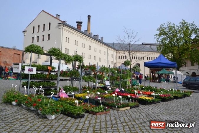 Zdjęcie w galerii na portalu naszraciborz.pl: IV Zamkowy Jarmark kwiatów, żywności ekologicznej i rękodzieła za nami wiadomości z regionu