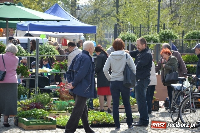 Zdjęcie w galerii na portalu naszraciborz.pl: IV Zamkowy Jarmark kwiatów, żywności ekologicznej i rękodzieła za nami wiadomości z regionu