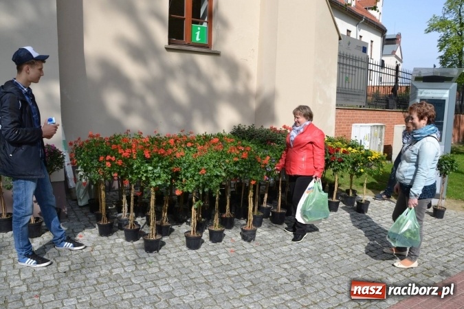 Zdjęcie w galerii na portalu naszraciborz.pl: IV Zamkowy Jarmark kwiatów, żywności ekologicznej i rękodzieła za nami wiadomości z regionu