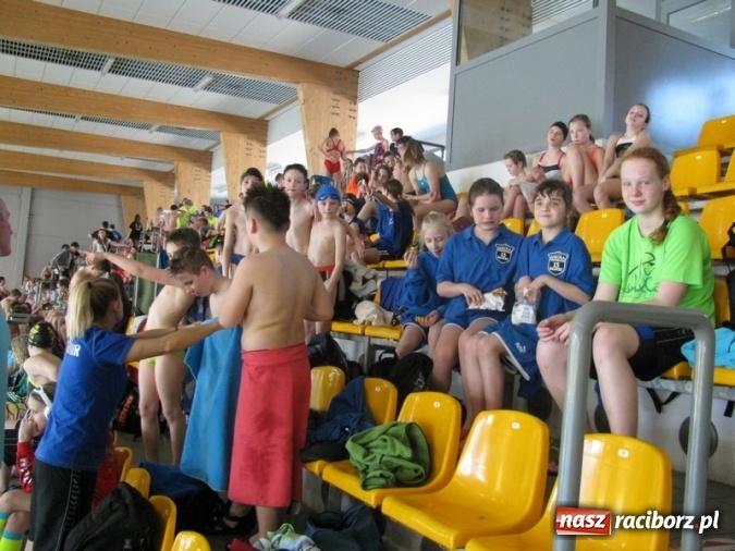 Zdjęcie w galerii na portalu naszraciborz.pl: Pływanie. Zwycięska passa 15-tki trwa wiadomości z regionu