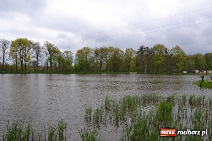 Zdjęcie w galerii na portalu naszraciborz.pl: Na Trzecioku otwarto sezon wędkarski  wiadomości z regionu