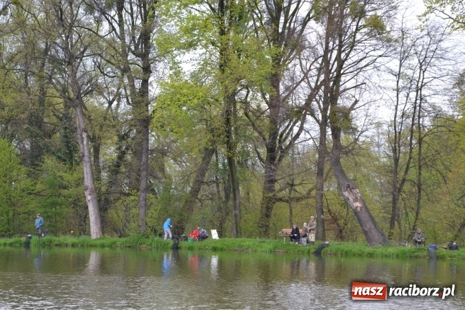 Zdjęcie w galerii na portalu naszraciborz.pl: Na Trzecioku otwarto sezon wędkarski  wiadomości z regionu