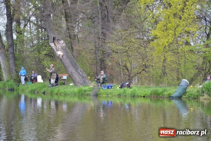 Zdjęcie w galerii na portalu naszraciborz.pl: Na Trzecioku otwarto sezon wędkarski  wiadomości z regionu
