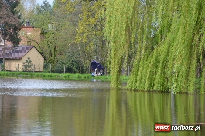 Zdjęcie w galerii na portalu naszraciborz.pl: Na Trzecioku otwarto sezon wędkarski  wiadomości z regionu