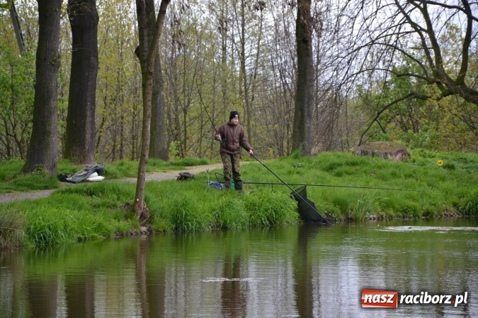 Zdjęcie w galerii na portalu naszraciborz.pl: Na Trzecioku otwarto sezon wędkarski  wiadomości z regionu