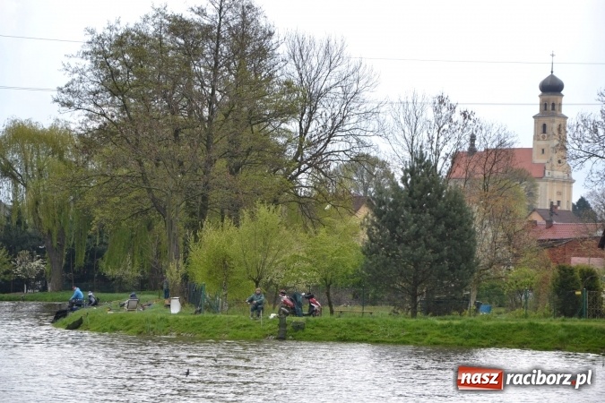 Zdjęcie w galerii na portalu naszraciborz.pl: Na Trzecioku otwarto sezon wędkarski  wiadomości z regionu