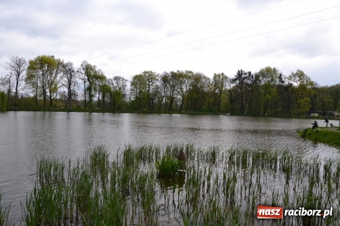 Zdjęcie w galerii na portalu naszraciborz.pl: Na Trzecioku otwarto sezon wędkarski  wiadomości z regionu