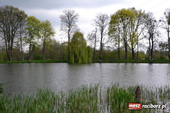 Zdjęcie w galerii na portalu naszraciborz.pl: Na Trzecioku otwarto sezon wędkarski  wiadomości z regionu