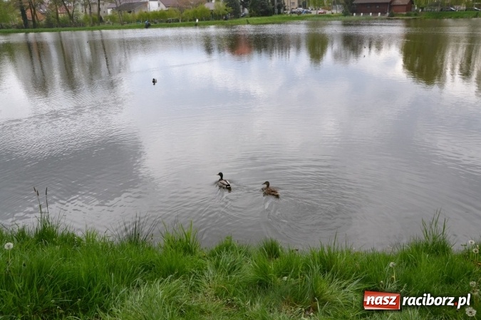 Zdjęcie w galerii na portalu naszraciborz.pl: Na Trzecioku otwarto sezon wędkarski  wiadomości z regionu
