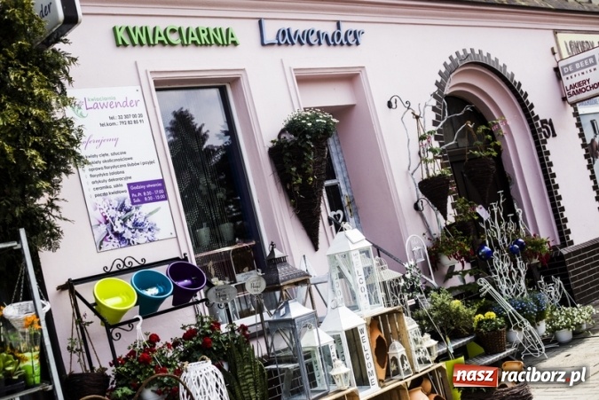 Zdjęcie w galerii na portalu naszraciborz.pl: Zrób sobie wyjątkową wiosnę w sercu, na podwórku i w domu! wiadomości z regionu