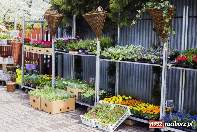 Zdjęcie w galerii na portalu naszraciborz.pl: Zrób sobie wyjątkową wiosnę w sercu, na podwórku i w domu! wiadomości z regionu