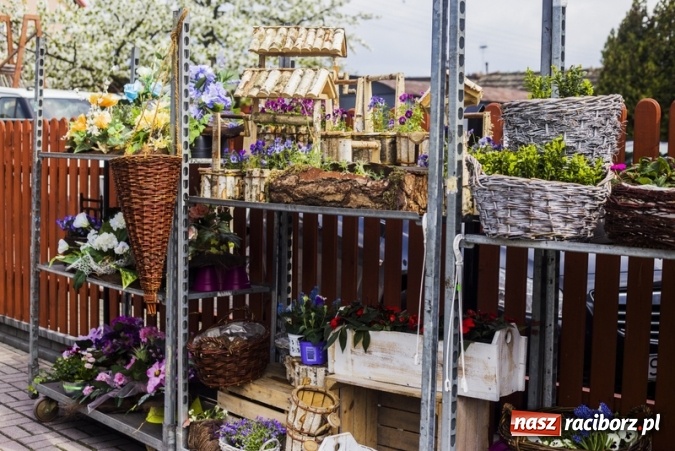 Zdjęcie w galerii na portalu naszraciborz.pl: Zrób sobie wyjątkową wiosnę w sercu, na podwórku i w domu! wiadomości z regionu