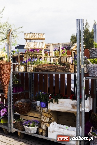 Zdjęcie w galerii na portalu naszraciborz.pl: Zrób sobie wyjątkową wiosnę w sercu, na podwórku i w domu! wiadomości z regionu