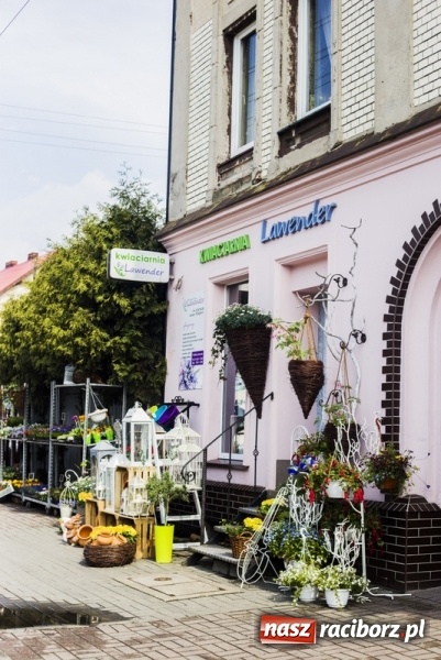 Zdjęcie w galerii na portalu naszraciborz.pl: Zrób sobie wyjątkową wiosnę w sercu, na podwórku i w domu! wiadomości z regionu