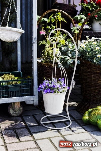 Zdjęcie w galerii na portalu naszraciborz.pl: Zrób sobie wyjątkową wiosnę w sercu, na podwórku i w domu! wiadomości z regionu