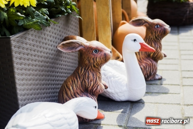 Zdjęcie w galerii na portalu naszraciborz.pl: Zrób sobie wyjątkową wiosnę w sercu, na podwórku i w domu! wiadomości z regionu