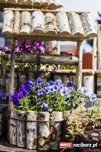 Zdjęcie w galerii na portalu naszraciborz.pl: Zrób sobie wyjątkową wiosnę w sercu, na podwórku i w domu! wiadomości z regionu