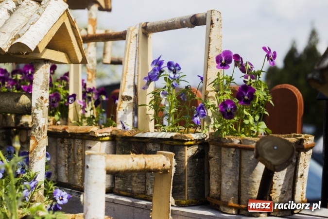 Zdjęcie w galerii na portalu naszraciborz.pl: Zrób sobie wyjątkową wiosnę w sercu, na podwórku i w domu! wiadomości z regionu