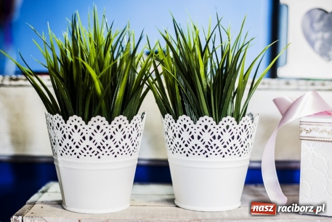 Zdjęcie w galerii na portalu naszraciborz.pl: Zrób sobie wyjątkową wiosnę w sercu, na podwórku i w domu! wiadomości z regionu