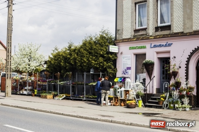 Zdjęcie w galerii na portalu naszraciborz.pl: Zrób sobie wyjątkową wiosnę w sercu, na podwórku i w domu! wiadomości z regionu